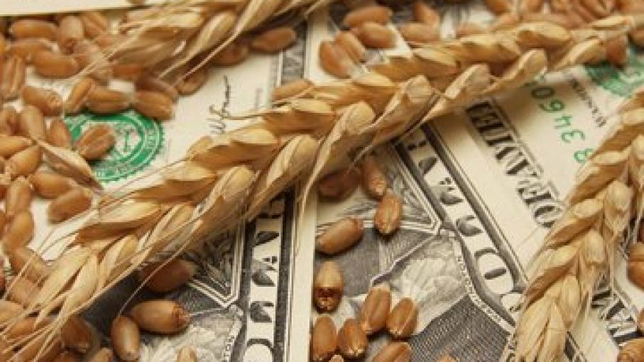 El dólar minorista cerró en $102,53