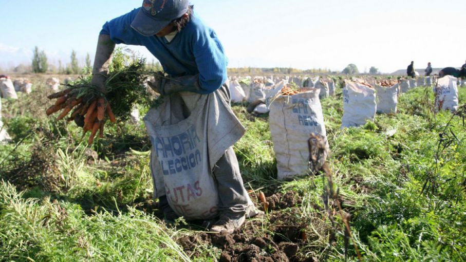Los trabajadores rurales temporarios pueden tener empleo registrado sin perder la ayuda social