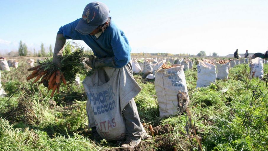 "Trabajamos en el camino de vincular la producción con la formación"