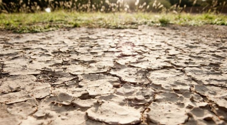 Impulsan la declaración de emergencia agropecuaria en Chaco debido a la sequía