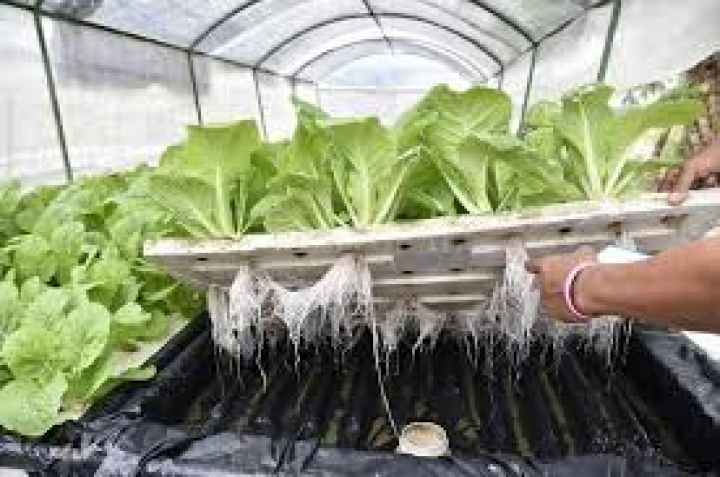 Es posible lograr una alimentación saludable