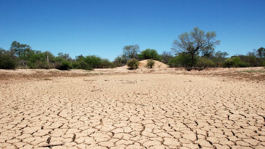 El clima seco será el principal problema para la campaña gruesa de granos -  Agrolatam
