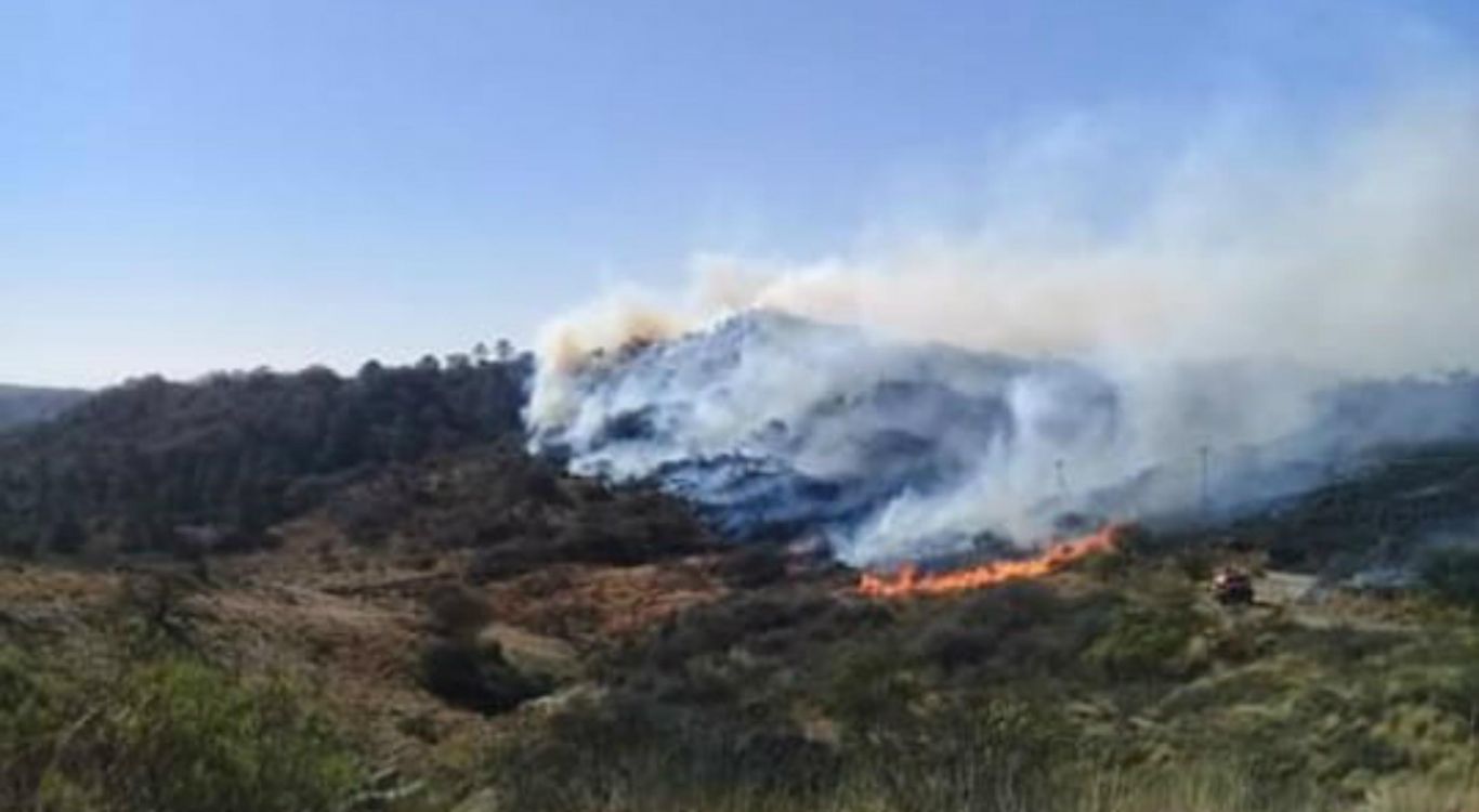 Subsidios y créditos a tasa cero para productores afectados por incendios