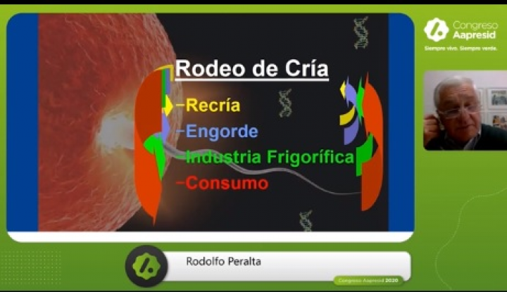 "La cría del futuro es la producción industrial de terneros"