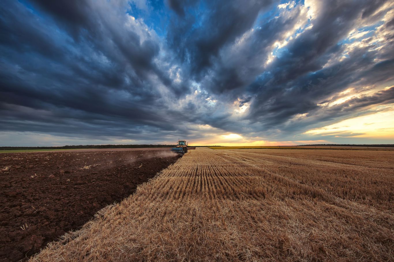 Estamos trabajando para implementar la Iniciativa de Carbono de Bayer en la Argentina