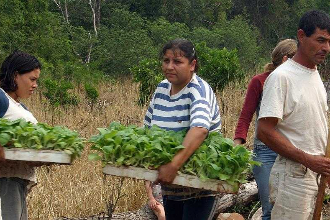 Destinarán más de $19,5 millones para el sector hortícola chaqueño