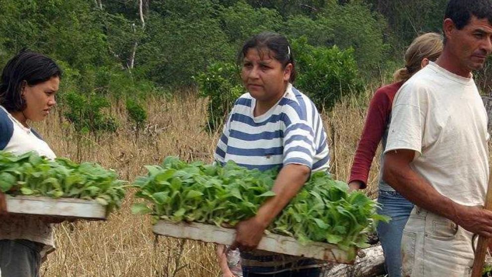 Destinarn ms de $19,5 millones para el sector hortcola chaqueo