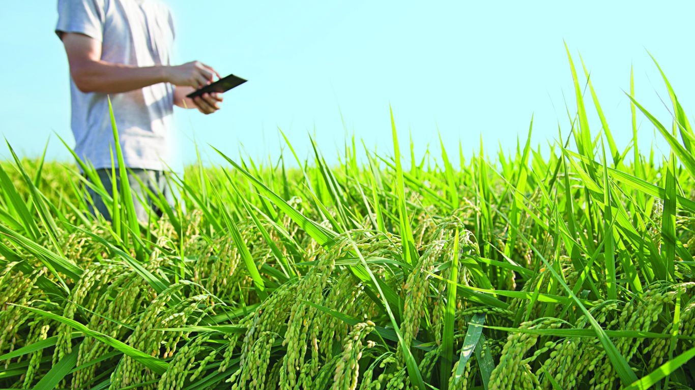 AgTech en la Expo Rural: cuáles son las lecciones de Brasil y Uruguay para Argentina