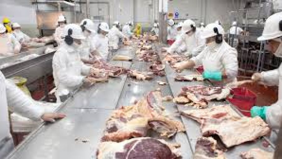 Actualización del Reglamento de Inspección de establecimientos de carne bovina