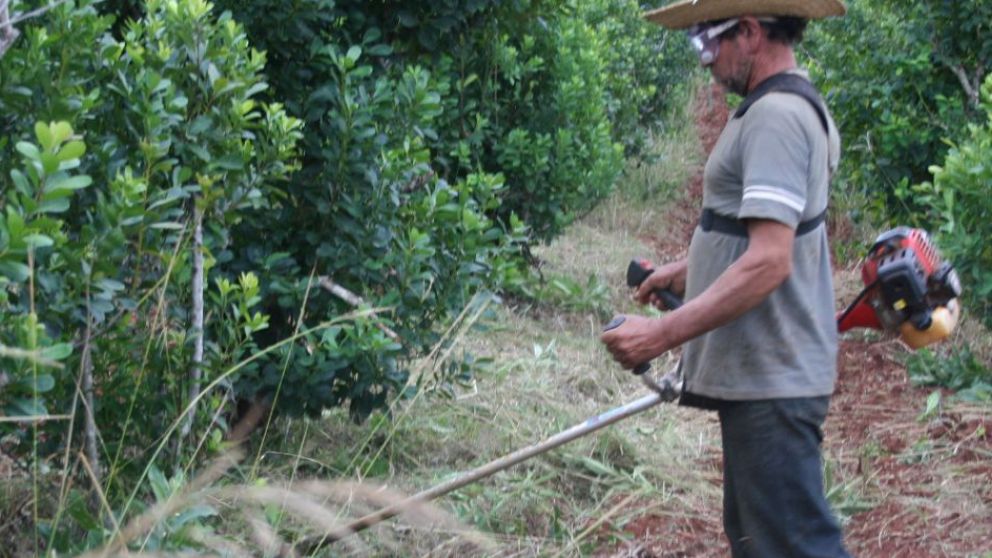 Lanzan programa de facilidades para adquirir herramientas y promover empleo