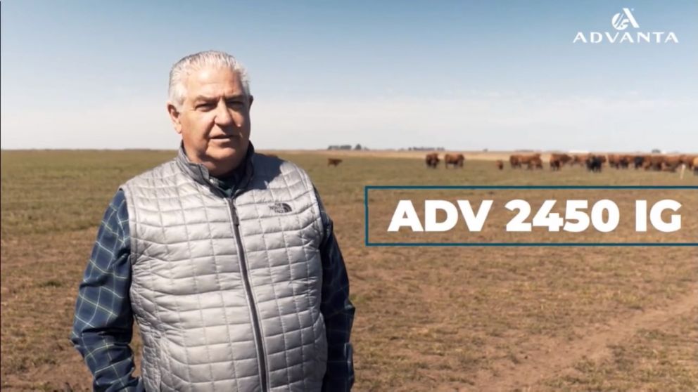 Una innovadora recorrida ganadera de la mano de Advanta.