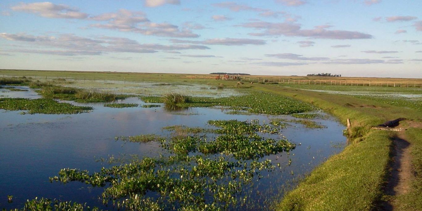 "El desafío en cuanto a los humedales es buscar armonizar el desarrollo económico, social y sustentabilidad ambiental"