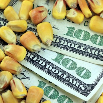La ayuda comercial y de Coronavirus de Trump a la agricultura podria alcanzar los 50.000 Millones de Dolares