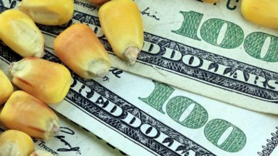 El USDA informa cosechas de maíz y Soja pequeñas y suministros más cortos