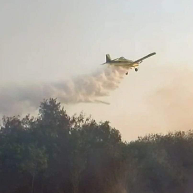 Fearca en Agronea: El avión, la herramienta más eficaz para combatir incendios