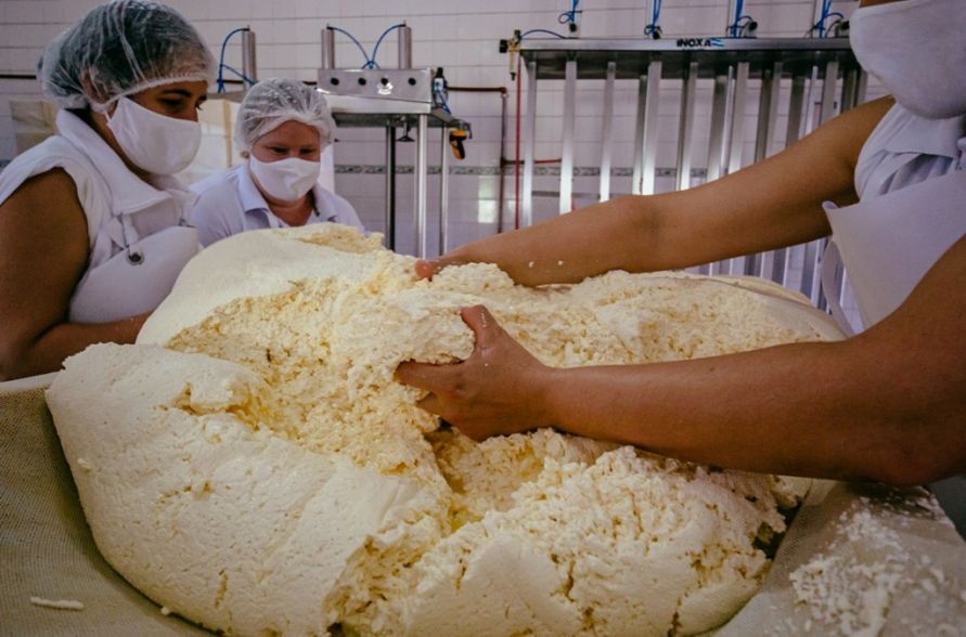 Quesos misioneros, una industria que agrega valor en origen