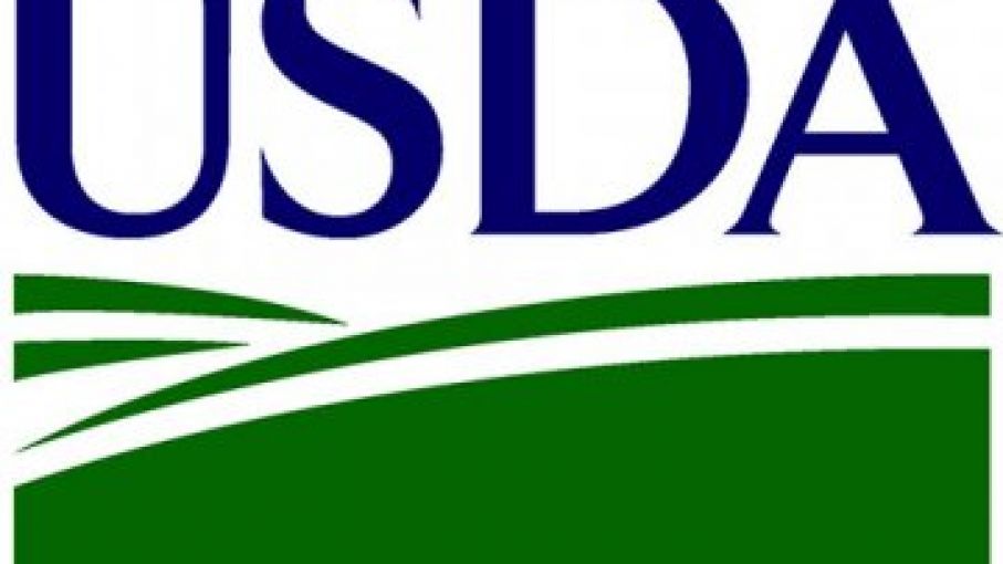 La agencia agrícola de USA anuncia un grupo de trabajo sobre la consilidacion de la insdustria de semillas