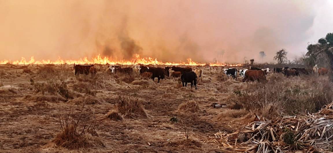 Chubut y Río Negro mantienen focos activos de incendio forestales