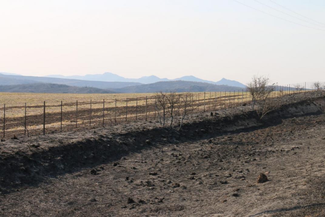 Córdoba denunció a la Justicia la difusión de ventas de terrenos quemados por incendios