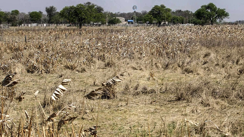 El 80% de la Región Pampeana Norte se encuentra con humedad deficitaria