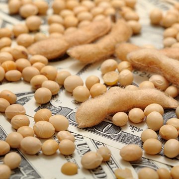 Los precios de los cereales bajan, las acciones suben en EEUU