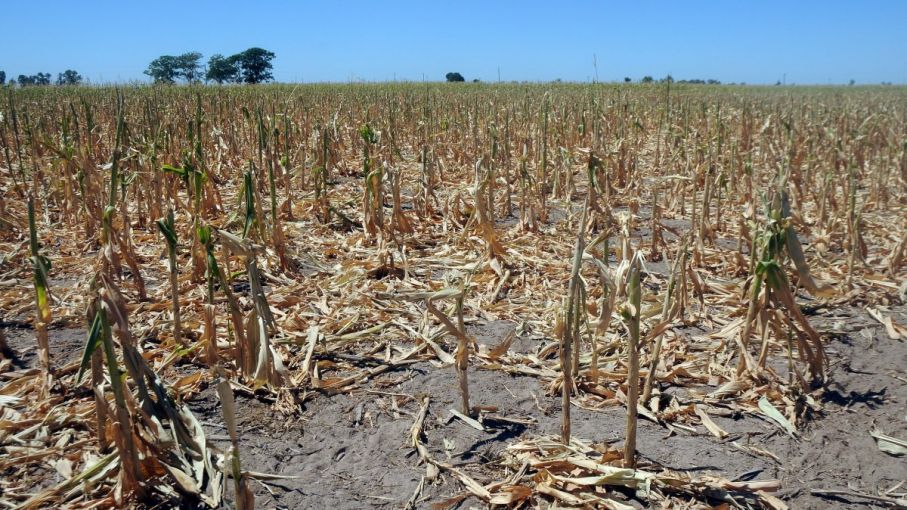 Sequías: efecto del cambio climático