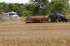 Soja: más cultivares y una mejora en el uso de variedades fiscalizadas