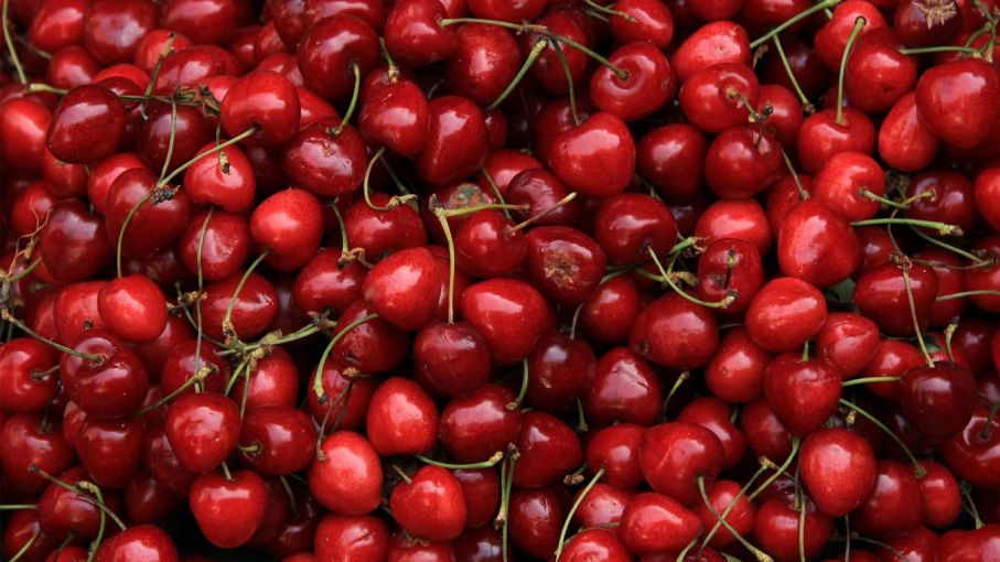 Impulsan la exportación de cerezas y arándanos a Qatar, Arabia Saudita y Emiratos Árabes