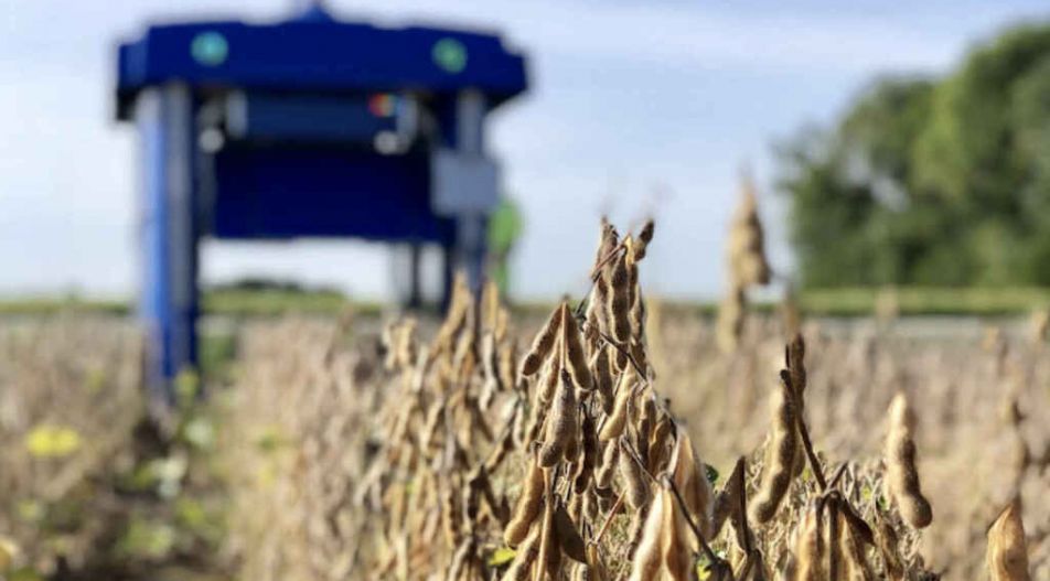 Agricultura computacional, el último proyecto de Google revolucionará el campo