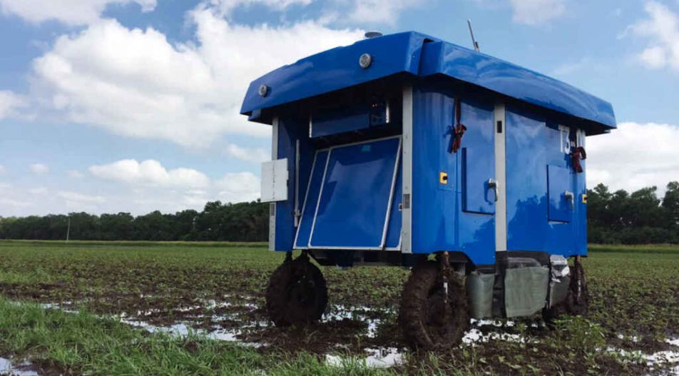 Agricultura computacional, el último proyecto de Google revolucionará el campo
