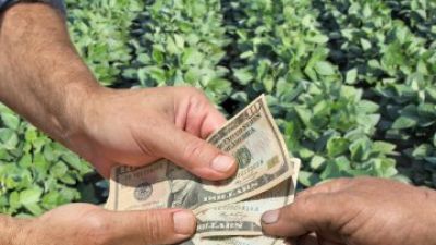Productores exigen sostener la baja en retenciones