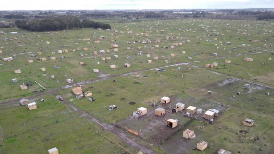 CRA solicitó audiencias por las usurpaciones a establecimientos rurales