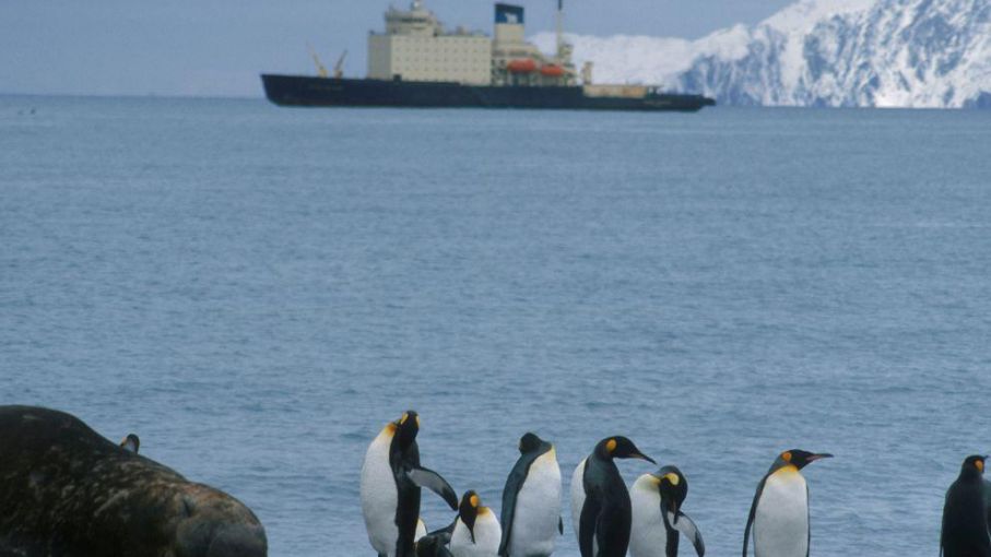 Se reúne la Comisión para la conservación de recursos vivos marinos antárticos