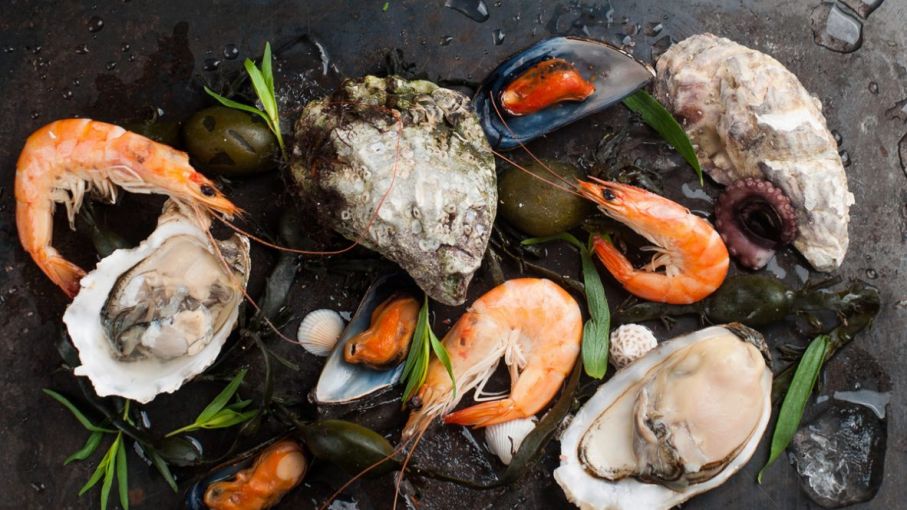 Se habilitó la primera planta procesadora de pescados y mariscos más austral del país