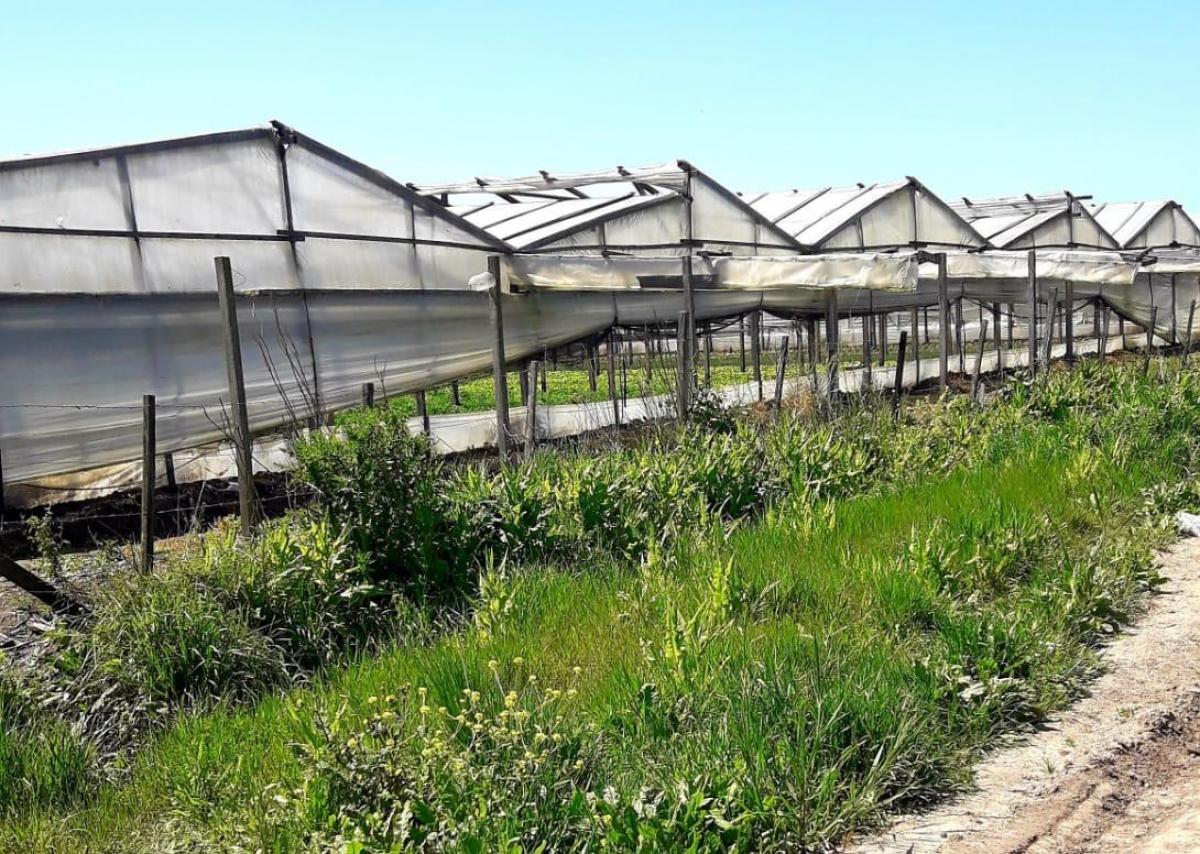 Clausuran loteos que eran comercializados ilegalmente en zonas productivas de La Plata