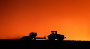 Márgenes agrícolas: la suba de los granos le da aire a la rentabilidad