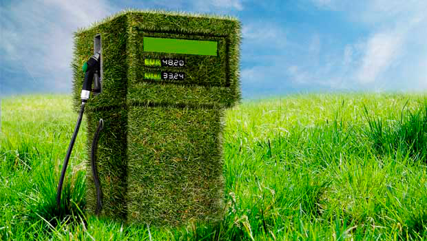 Alientan la continuidad del régimen de promoción de biocombustibles, con modificaciones
