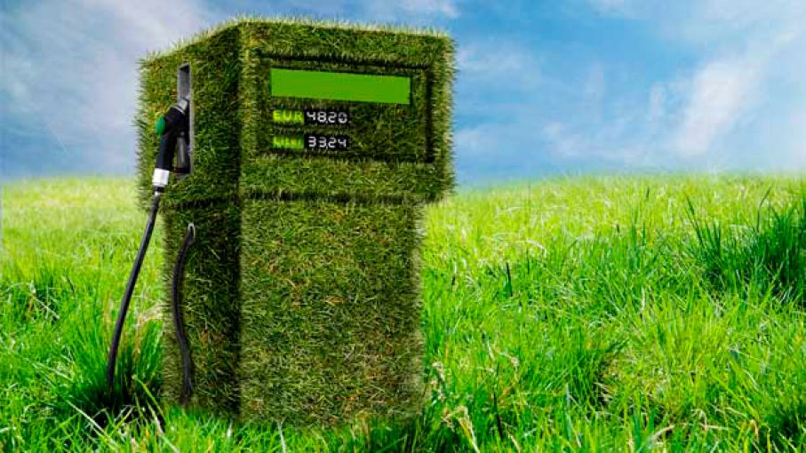 Alientan la continuidad del régimen de promoción de biocombustibles, con modificaciones