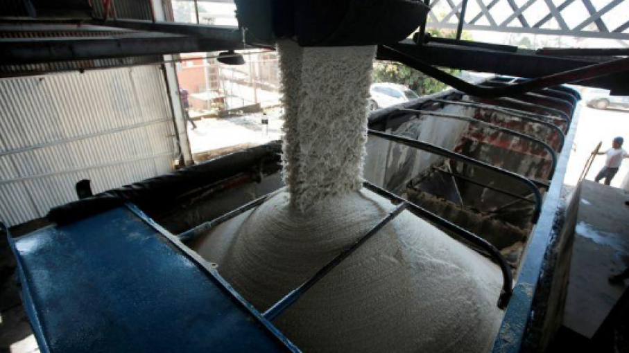 ISO calcula déficit mundial de azúcar en 2020/21 de 3,5 mln toneladas