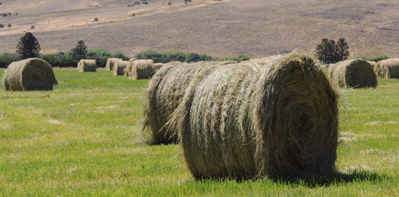 Agricultura destinó $13 millones para asistir a productores de Tierra del Fuego