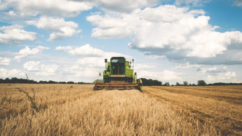 Pese a la pandemia el 2021 ser "un muy buen ao para los productores"