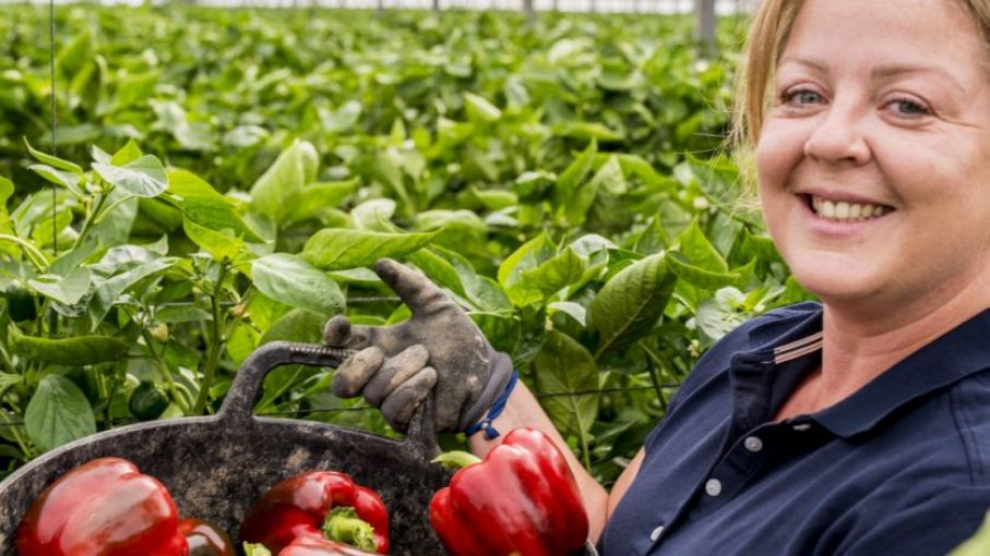 Financiamiento nacional para mujeres agricultoras de Corrientes