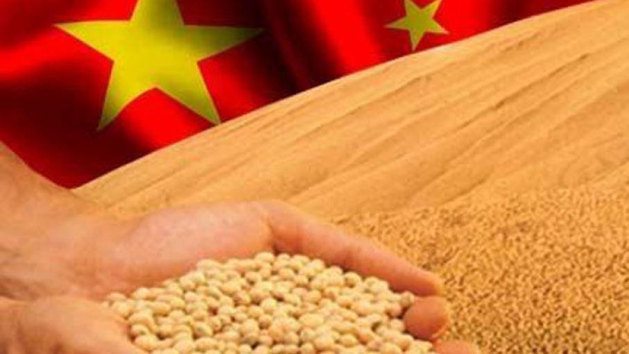 Con los rumores de cancelación de China, el mercado de la soja ignora las noticias bajistas