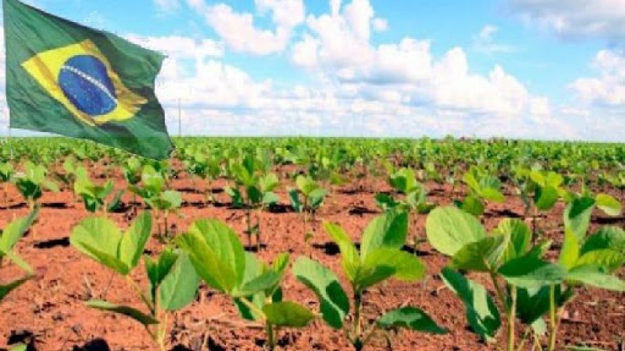 El déficit de precipitaciones en Brasil sigue siendo una gran preocupación