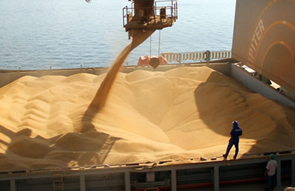 Ranking de exportación de empresas agroindustriales según ventas en la campaña 2020/21