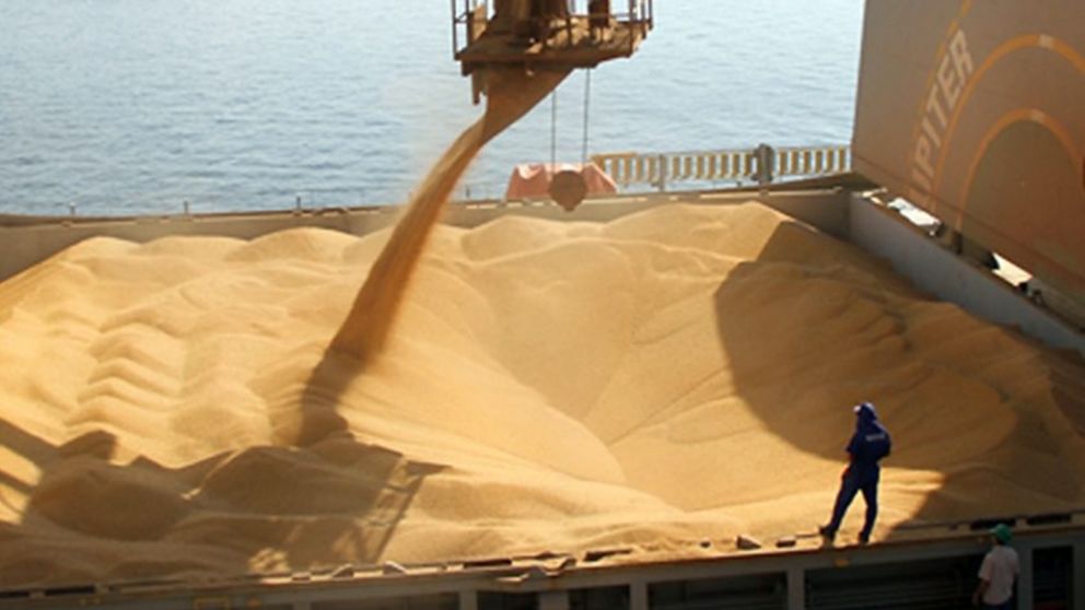 Ranking de exportacin de empresas agroindustriales segn ventas en la campaa 2020/21