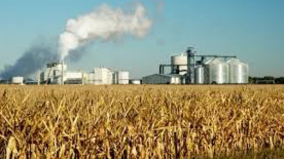 Productores de biocombustibles reiteran su reclamo por un aumento en el precio de venta