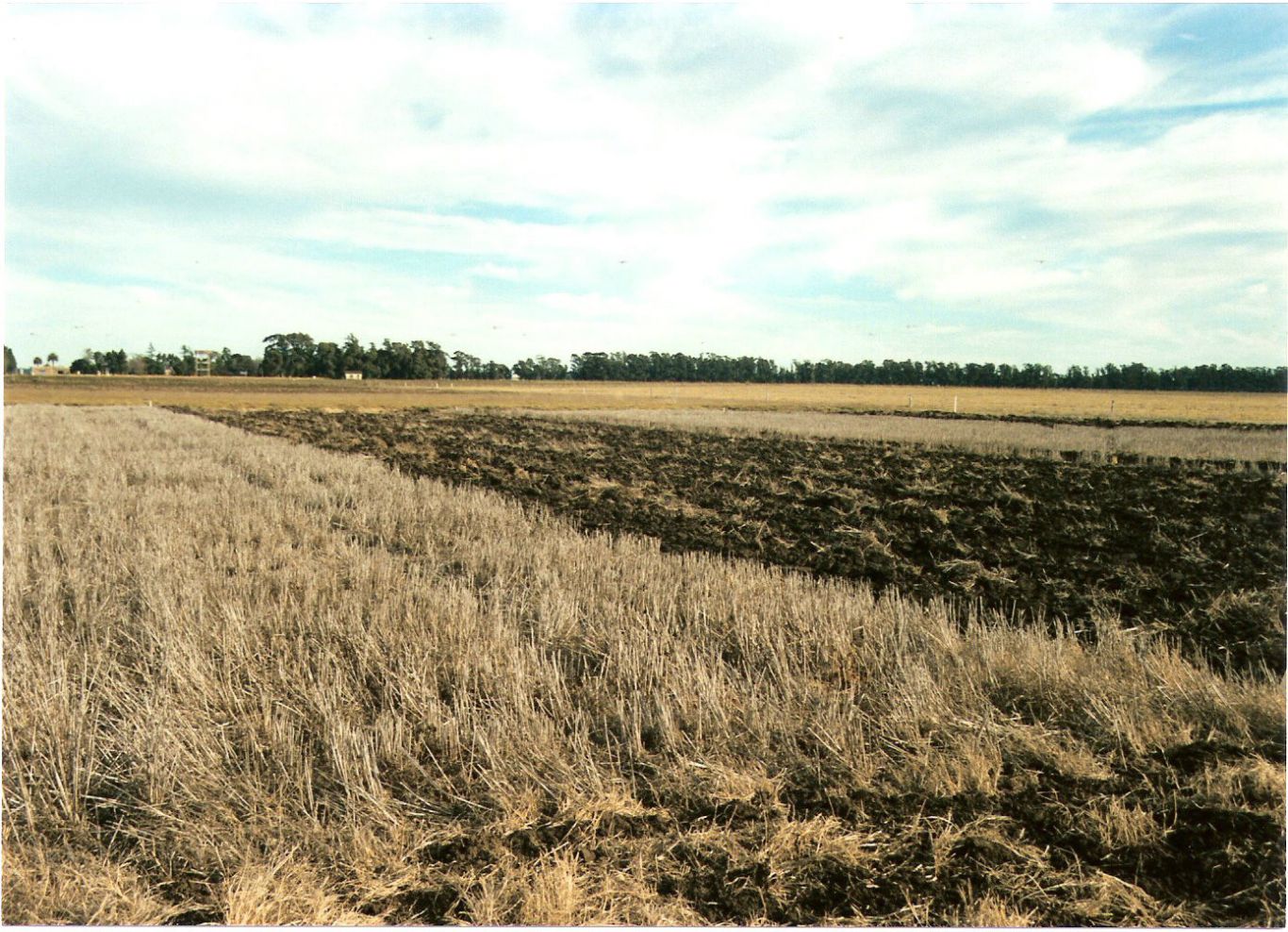 Reabren una planta semillera en el sur bonaerense con inversión de US$ 10 millones