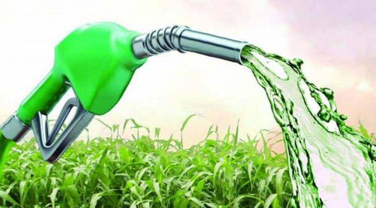 Vicegobernadores del NOA se unieron al reclamo por la Ley de Biocombustibles