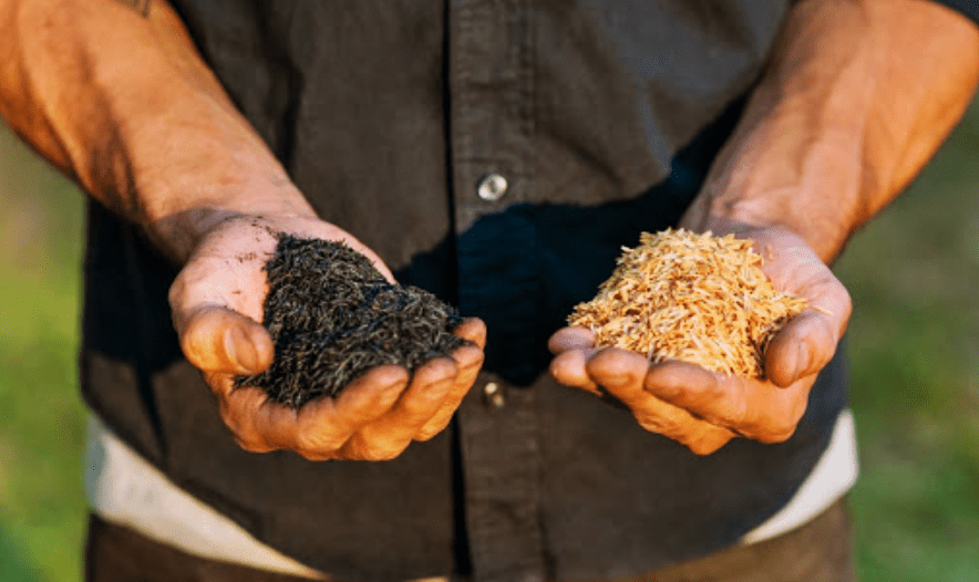 Desarrollan en Corrientes un carbón ecológico a partir de cascarilla de arroz